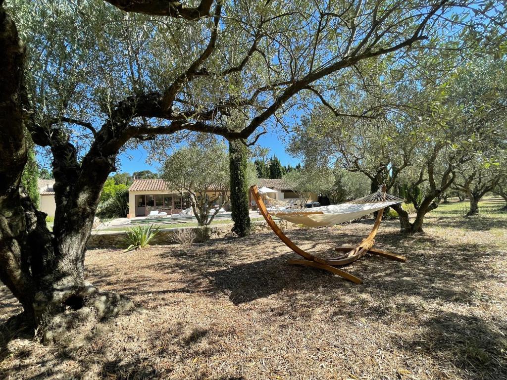 a hammock sitting under a tree in a park at MAS MILLÉSIME - Chambre double - petit déjeuner - piscine - Mas du XVIIIème siècle proche Saint-Rémy-de-Provence in Mas blanc des Alpilles