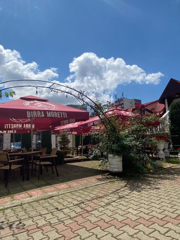 Pensiunea Viena - Resim 27
