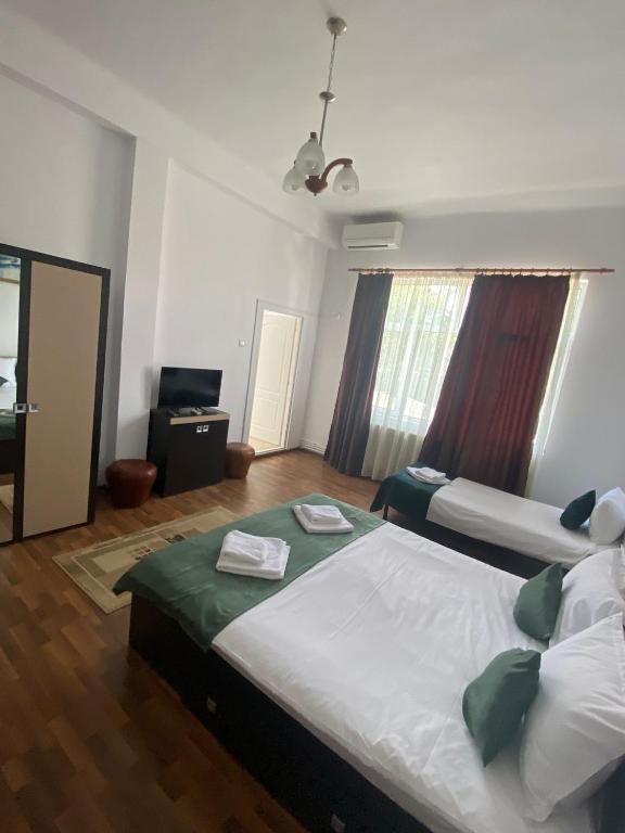 Pensiunea Viena - Resim 14