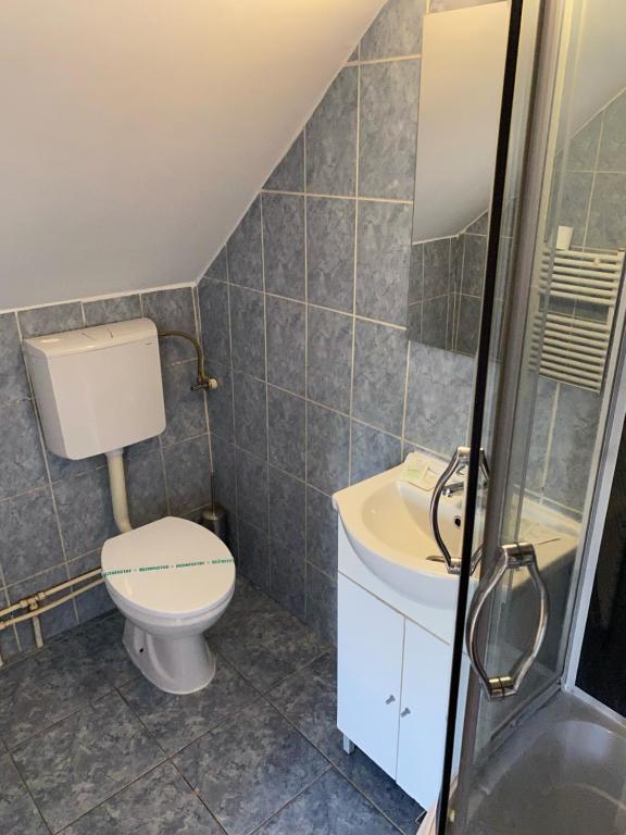 Pensiunea Viena - Resim 16