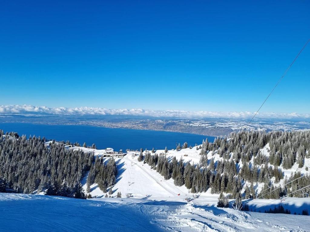 une piste de ski avec de la neige et des arbres sur une montagne dans l'établissement Appartement typique de montagne, à Thollon-les-Mémises