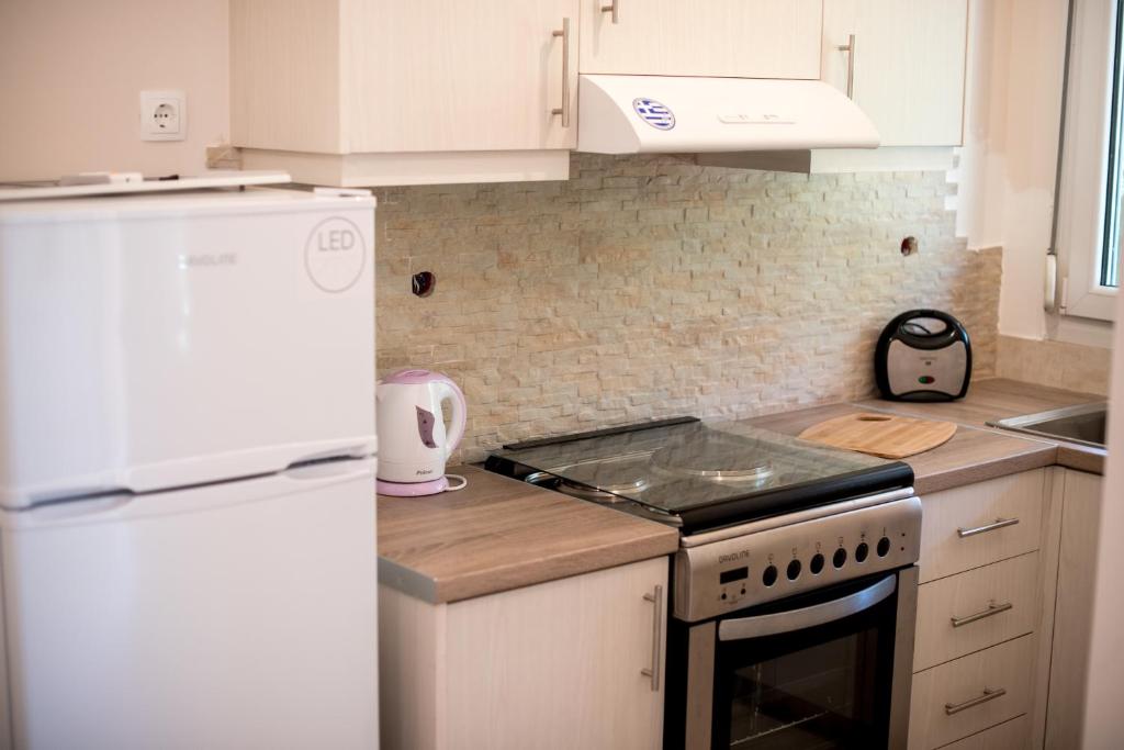 A kitchen or kitchenette at Kiani Akti Villas