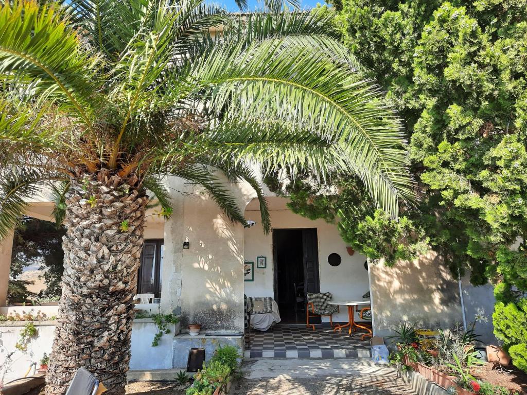 una palmera frente a una casa en Casa Valle, en Agrigento