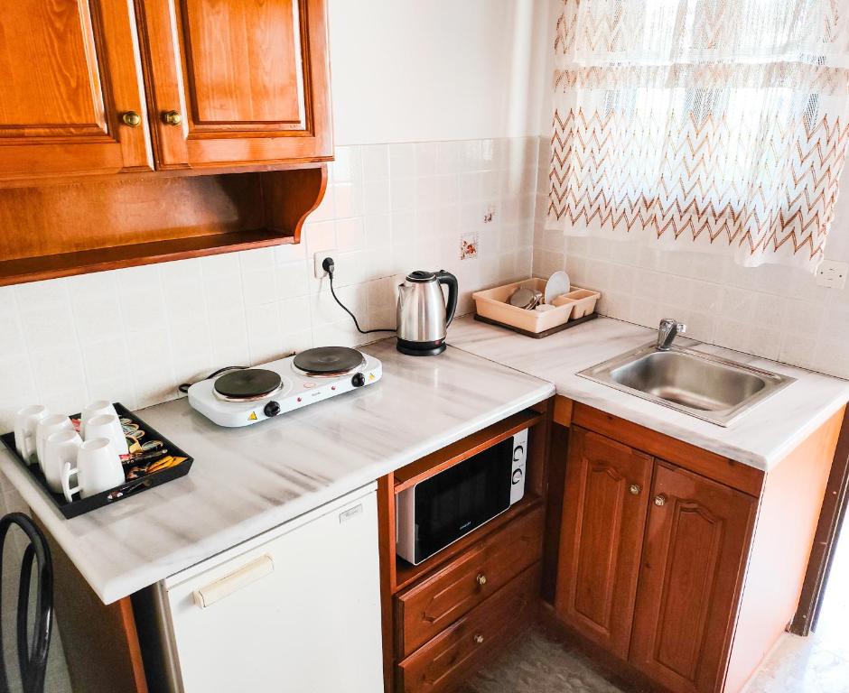 a small kitchen with a stove and a sink at Anna Garden Sidari in Sidari