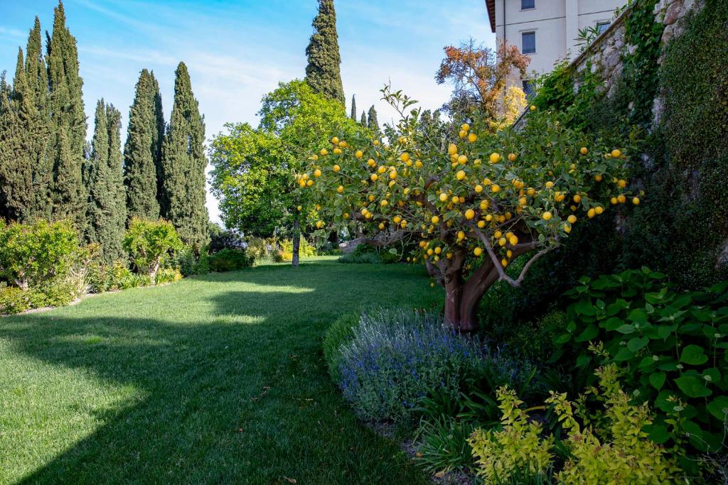 Zahrada ubytování Eremus Relais