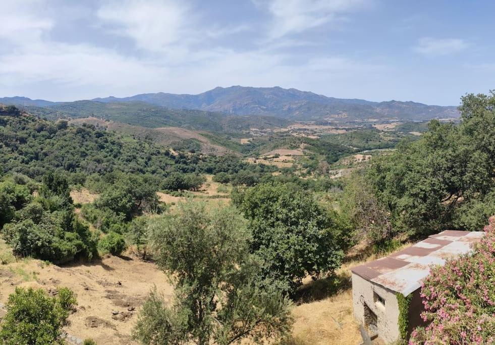 a view of a valley with mountains and trees at Vacances près de Saint Florent in Olmeta-di-Tuda