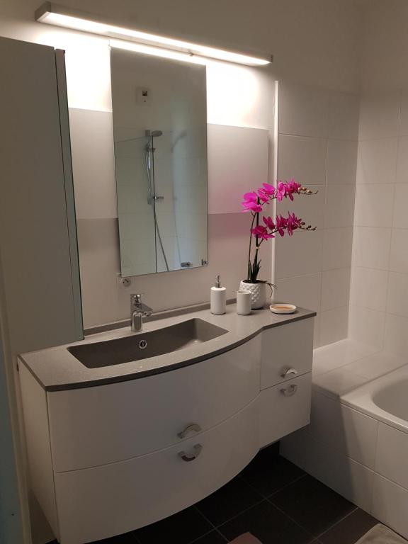 een badkamer met een wastafel, een spiegel en een bad bij APPARTEMENT T2 AGROPARC AVIGNON in Avignon