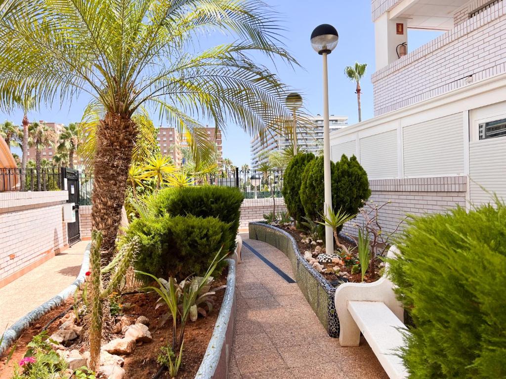 Zahrada ubytování Apartamento Deluxe Jardín