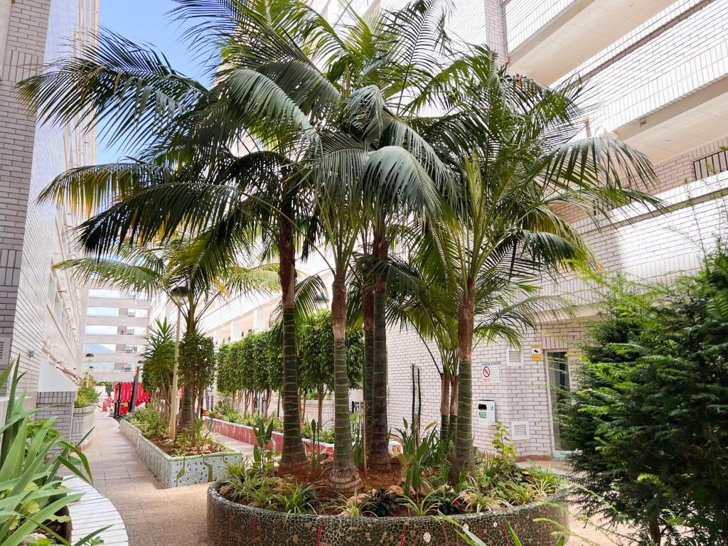 Zahrada ubytování Apartamento Deluxe Jardín
