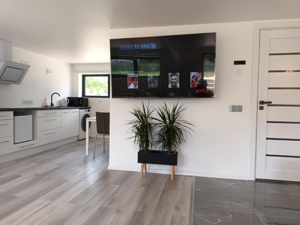 a kitchen with a potted plant on the wall at Luxury Apartment Private House and Parking Netflix in Tartu