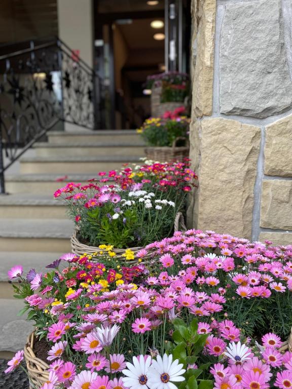 Hotel Nosal Ski & Wine - Resim 35