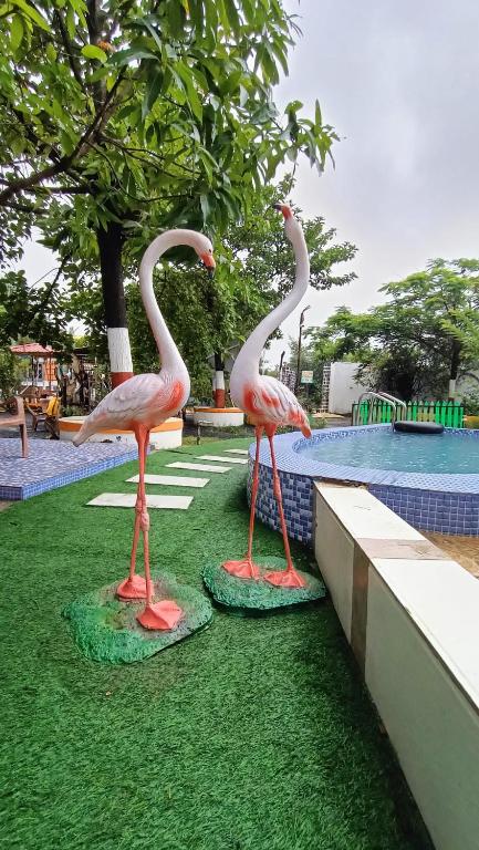 two flamingos are standing in the grass near a pool at Green Paradise - Trimbakeshwar in Trimbak