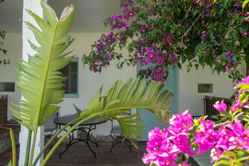een patio met paarse bloemen en een tafel en stoelen bij Habitaciones La Vega in Tarifa