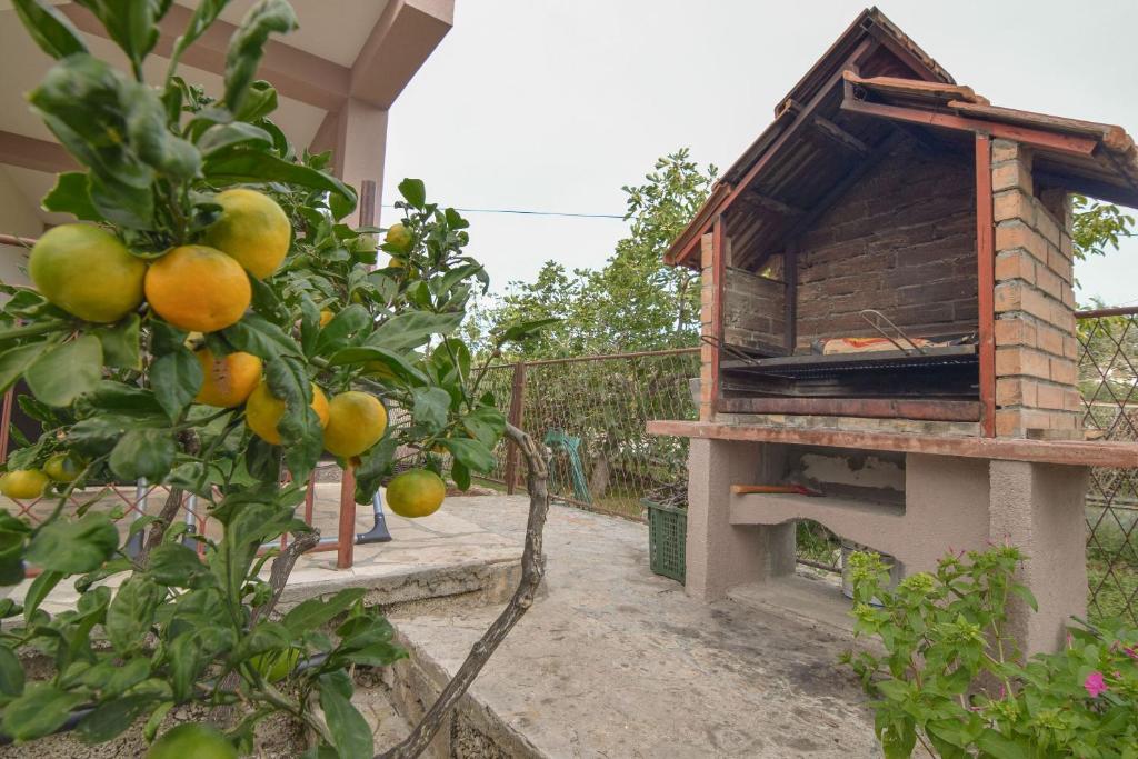 an orange tree in front of a bird house at Apartment Pocrnja in Rogoznica