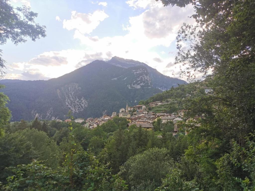 Gallery image of Tiny House Dolomiti in Sovramonte