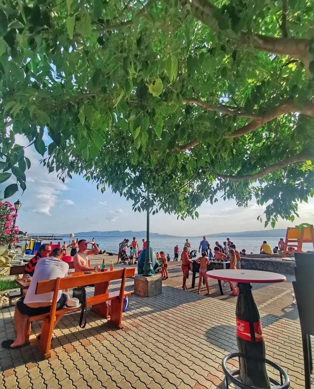 a group of people sitting on benches at the beach at Jasmina in Senj