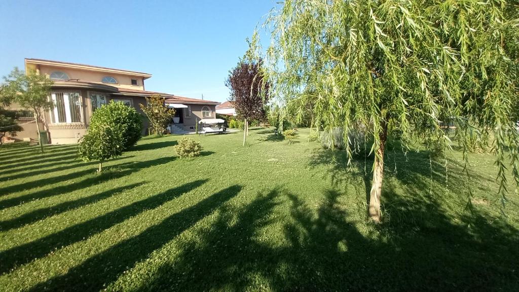 Green Villa Rodna - Villa With Garden View