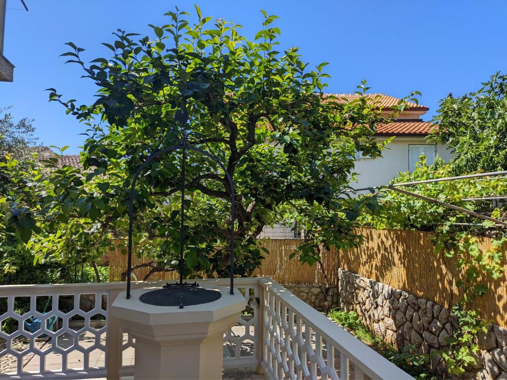 a tree in a planter on a white fence at Apartmani Cimerman in Krk