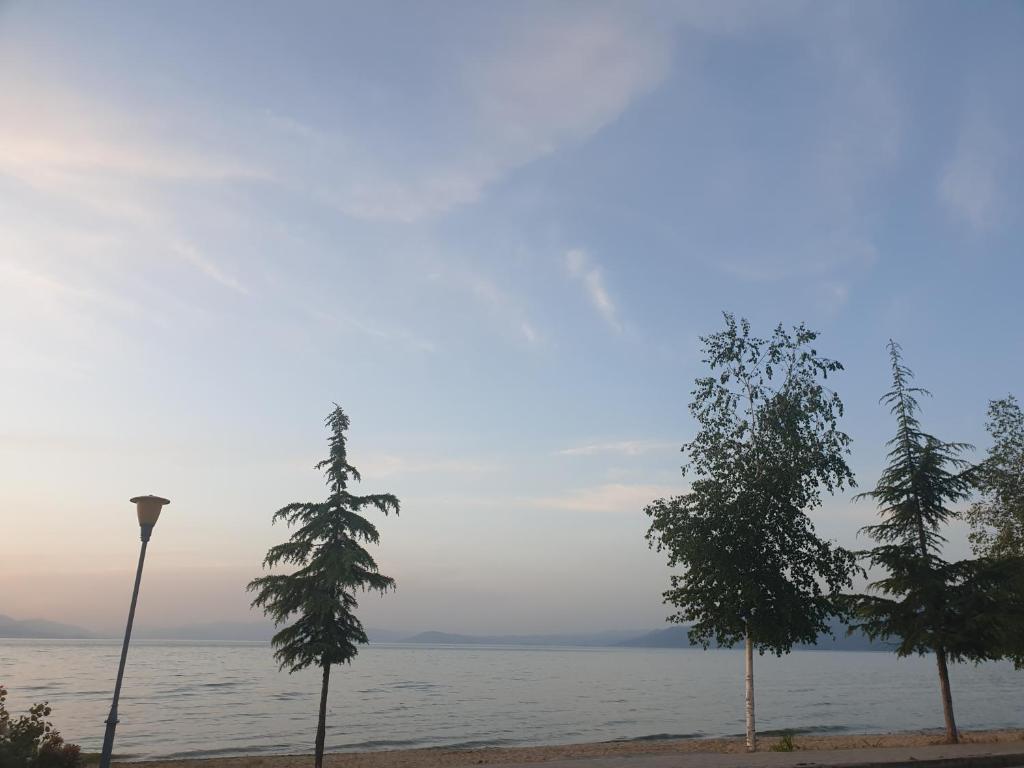 Shtepi Pushimi Tushemisht - Imazhi 7