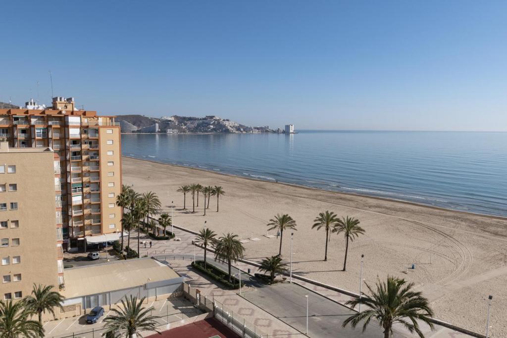 a view of a beach with palm trees and buildings at Lider, 10-B in Cullera