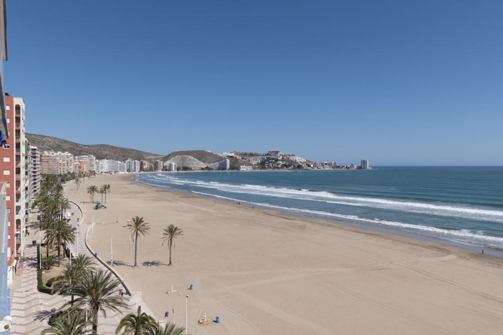 - une vue sur la plage bordée de palmiers et l'océan dans l'établissement Frontalmar, Esc-B, 8º-32, à Cullera