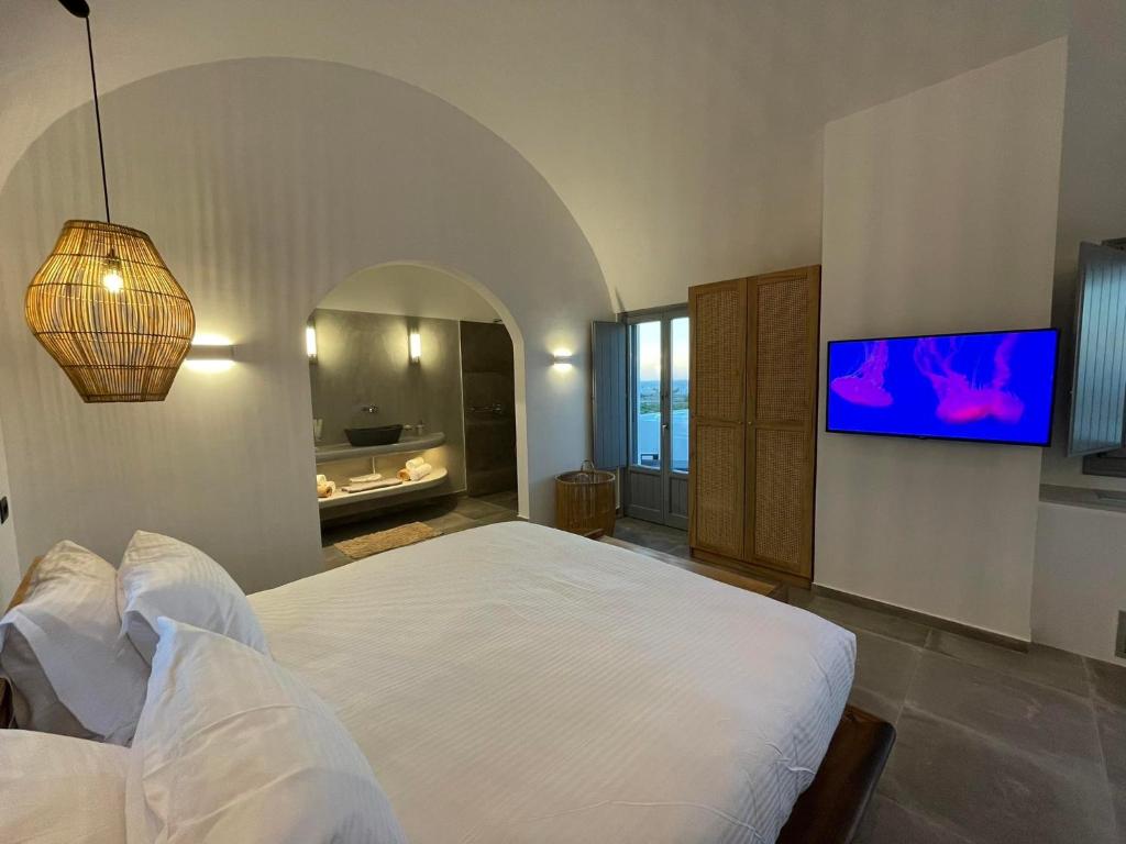 TV a/nebo společenská místnost v ubytování Anemi Vine Villas