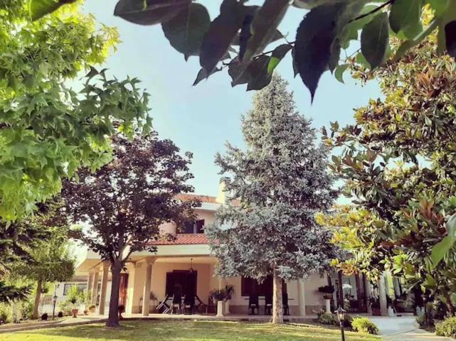une grande maison avec des arbres devant elle dans l'établissement Villa Cycas, à Casal Taulero