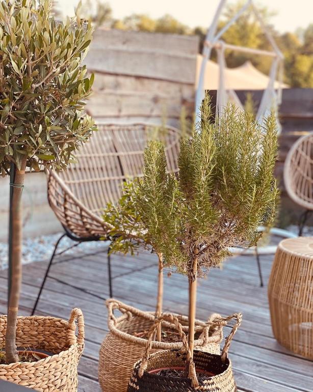 Zahrada ubytování GreenValleyGlamping