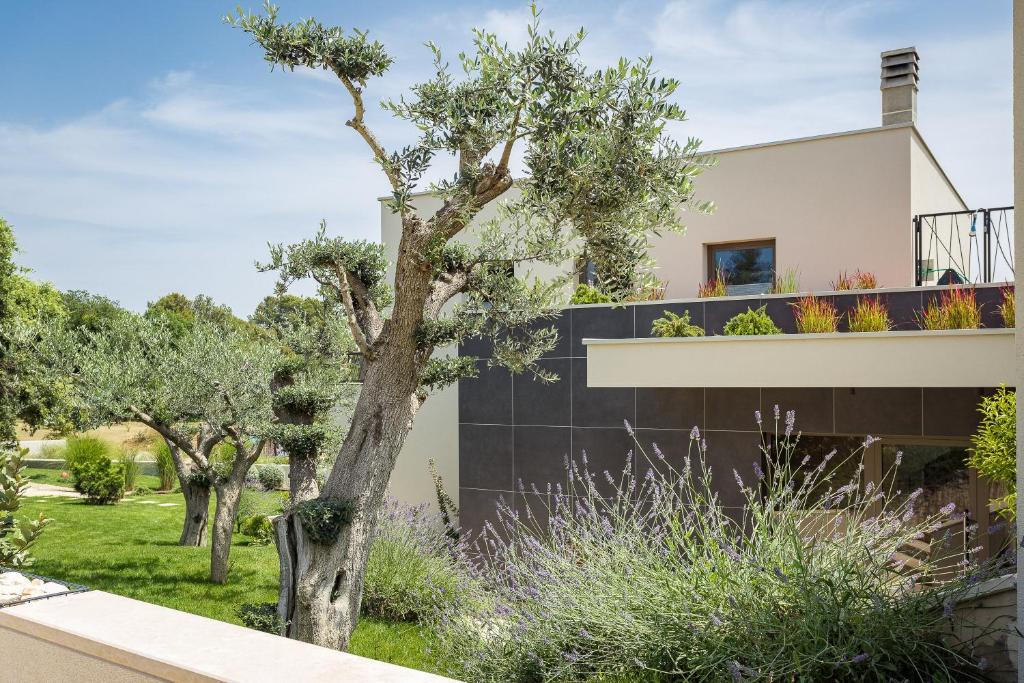 Vonkajšia záhrada v ubytovaní luxury Villa One Way