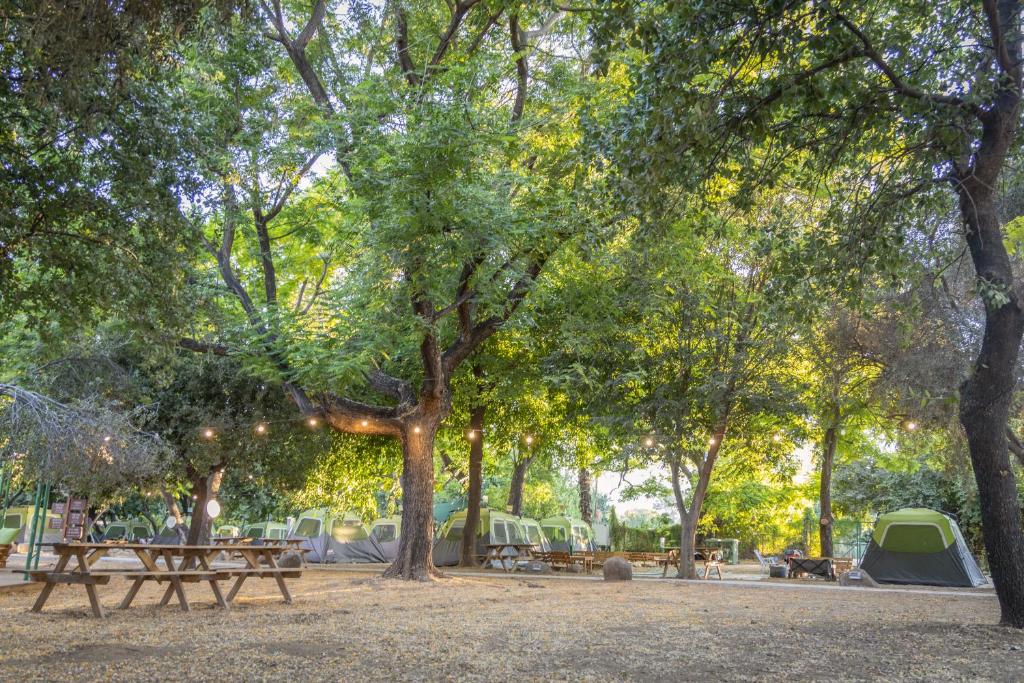 達夫納的住宿－Camping Dafna - By Travel Hotel Chain，公园里的野餐桌和帐篷