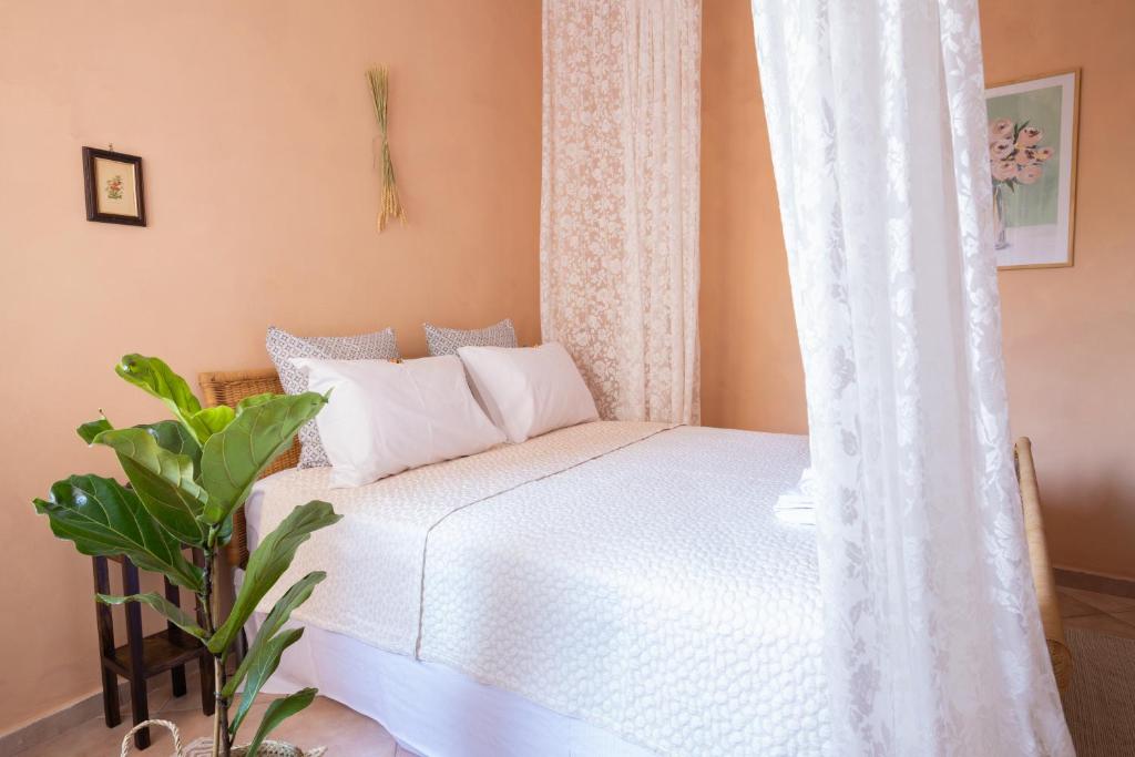 Fotografia z galérie ubytovania Mediterranean house - 12 min from Acropolis! v Aténach