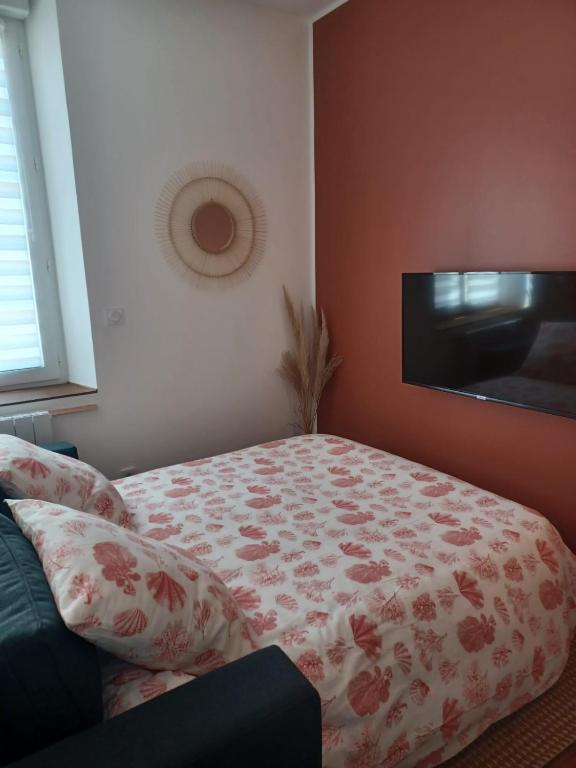 TV a/nebo společenská místnost v ubytování Mazamet - Studio neuf et moderne en centre-ville