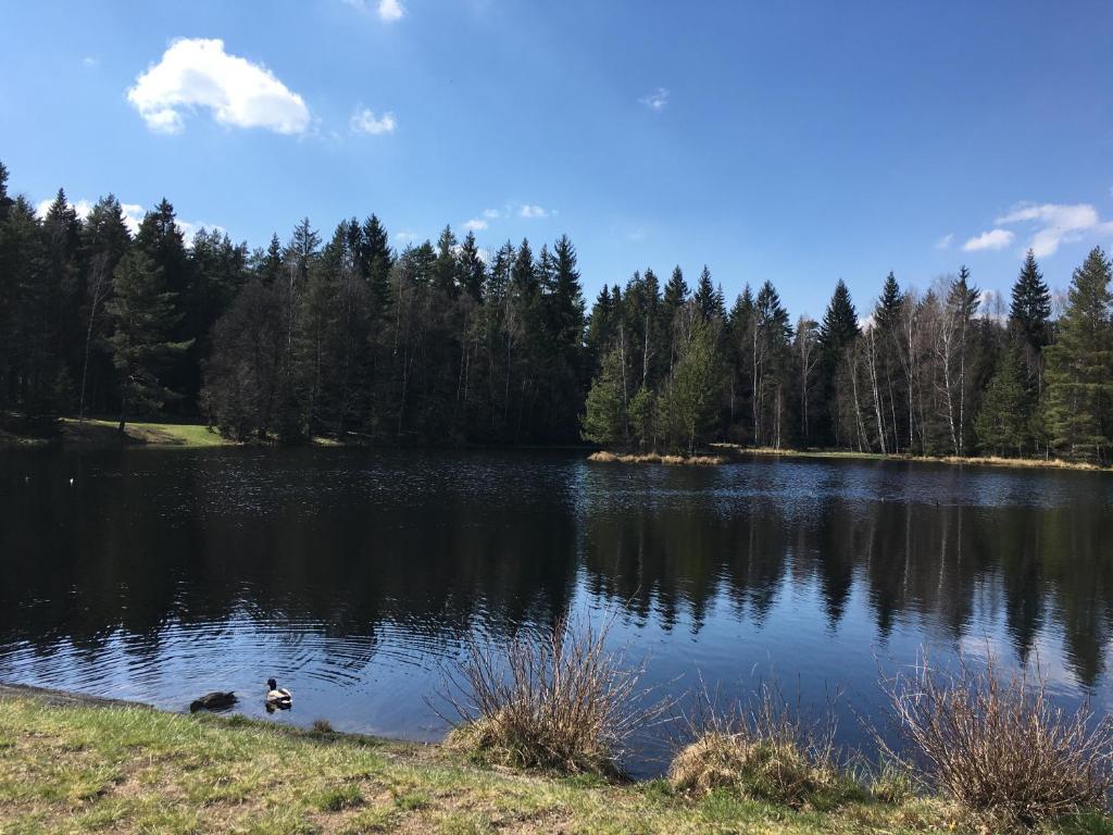 Příroda nedaleko apartmánu