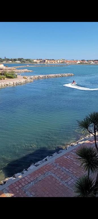 une personne à bord d'une vague dans une masse d'eau dans l'établissement Superbe appartement avec piscine, au Barcarès