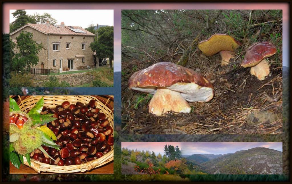Fotografie z fotogalerie ubytování Gîte de la chanal 07 v destinaci Villevocance