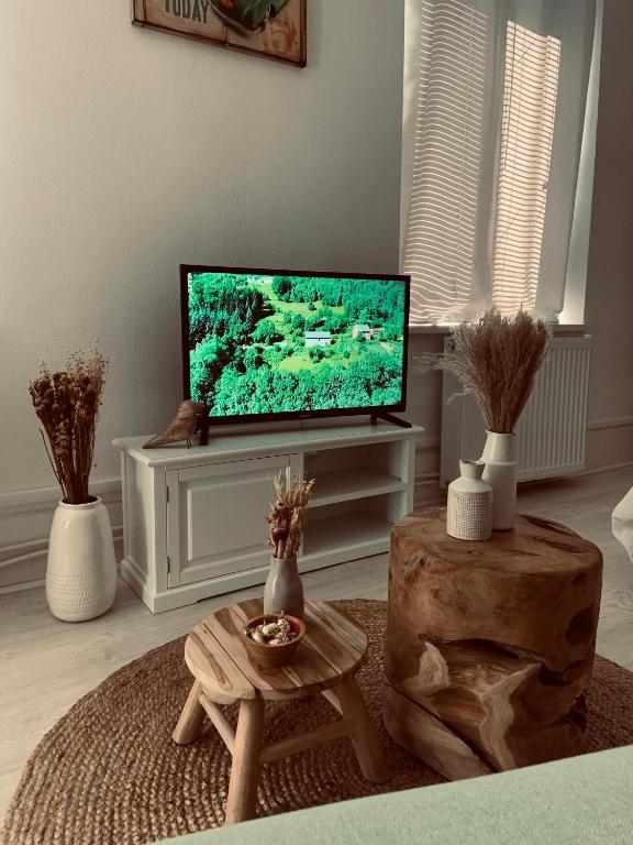 Televízia a/alebo spoločenská miestnosť v ubytovaní Studio Girafe, style bohème et atypique, Curistes