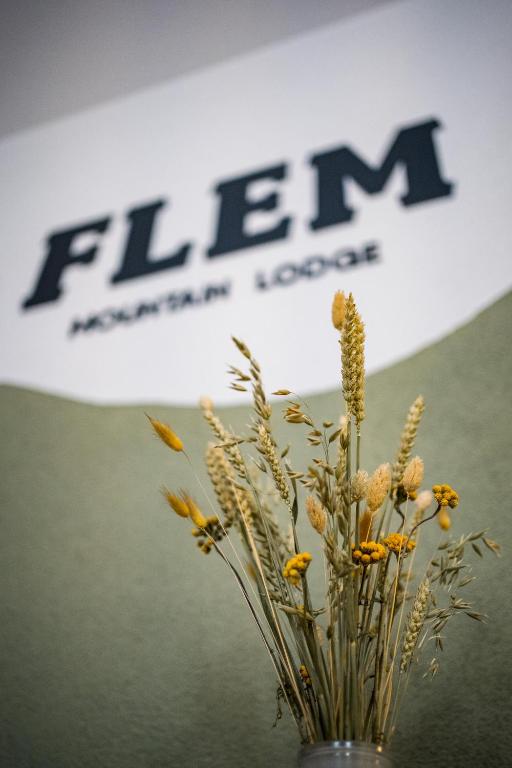 Fotografie z fotogalerie ubytování Flem Mountain Lodge v destinaci Flims