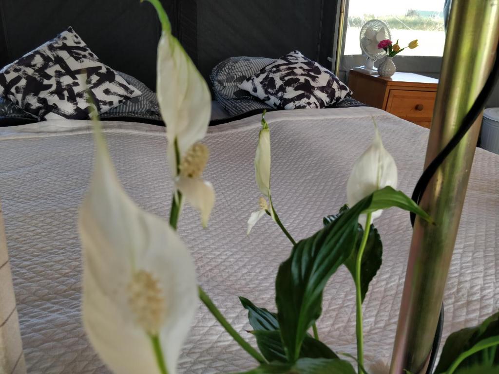 Postel nebo postele na pokoji v ubytování Godaland Guesthouse