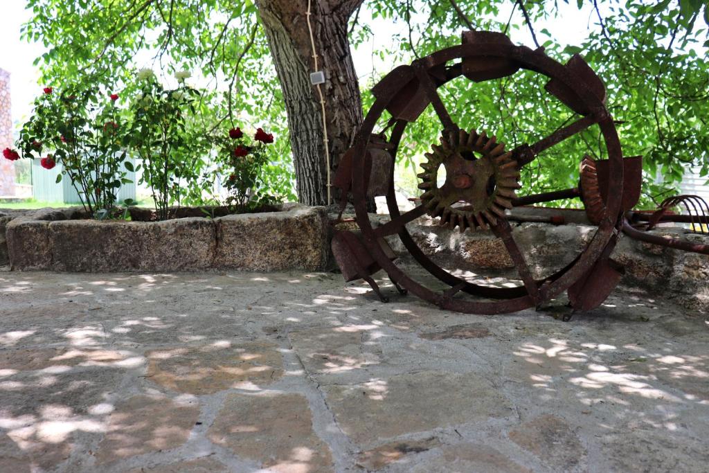Fotografie z fotogalerie ubytování Cantinho D'Aldeia v destinaci Guarda