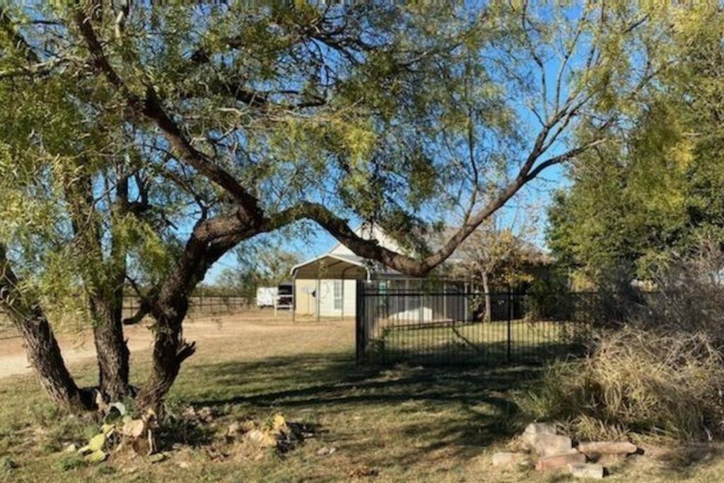 Ein Baum mitten auf einem Feld mit einem Zaun in der Unterkunft Opa's House in Abilene