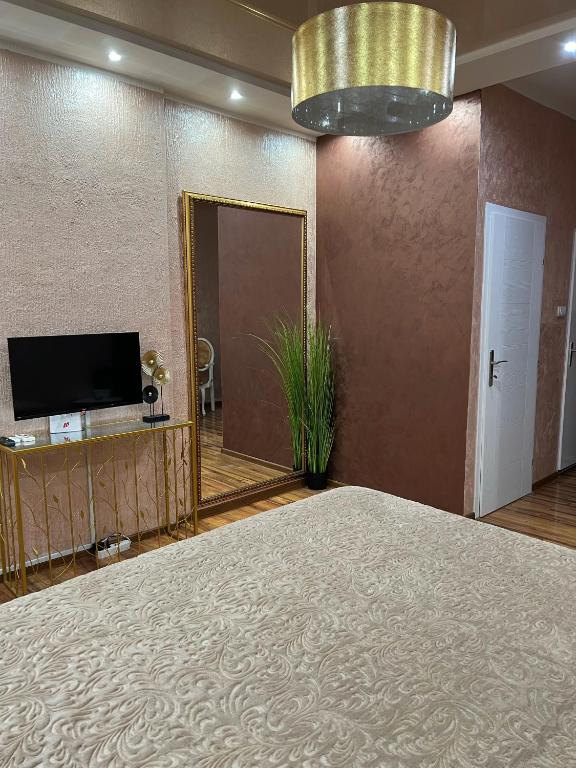 TV a/nebo společenská místnost v ubytování Studio apartman De Lux Loznica