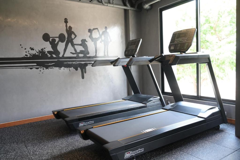 A compact gym with two treadmills beside a large window.