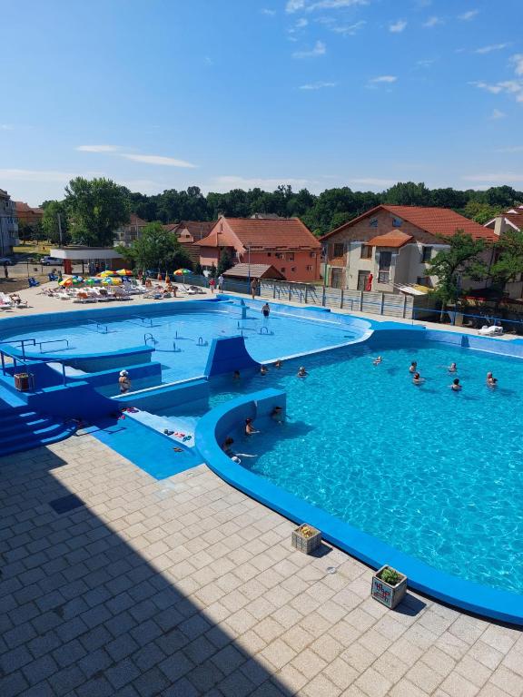 Bazén v ubytování Hotel Muncel Băile Felix nebo v jeho okolí