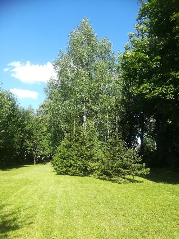Příroda nedaleko penzionu
