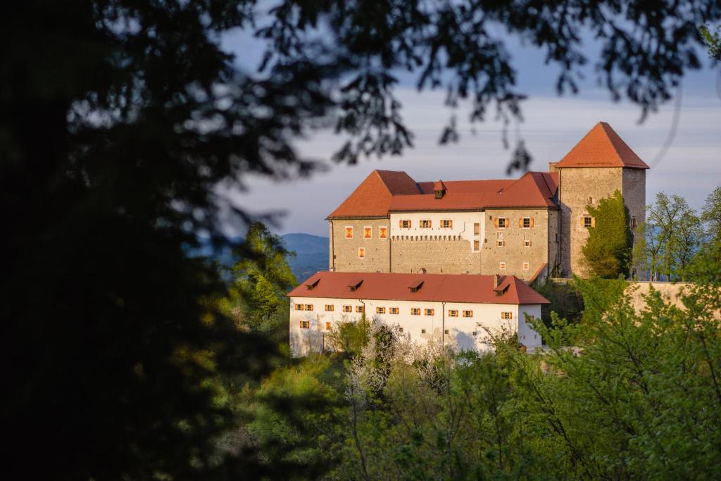 a large castle on top of a hill with trees at Rooms & Apartments Podsreda Castle in Podsreda