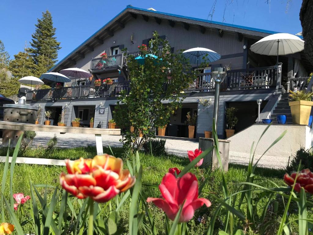 un bâtiment avec un jardin fleuri devant lui dans l'établissement L'Alpen Roc, à Caille