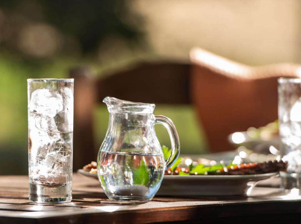 un tavolo con una brocca di vetro di acqua e un piatto di cibo di Marianna Studios a Kriaritsi