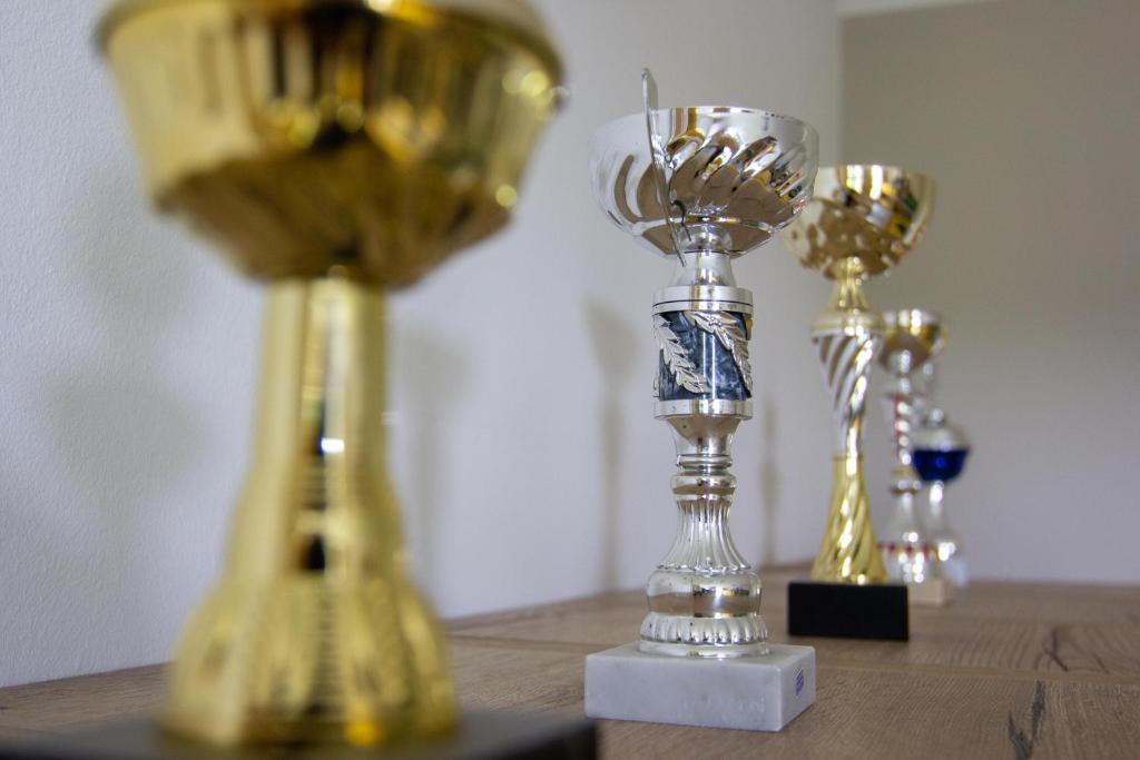 Gästehaus Dresden - Alte Schule Gohlis - Resim 8