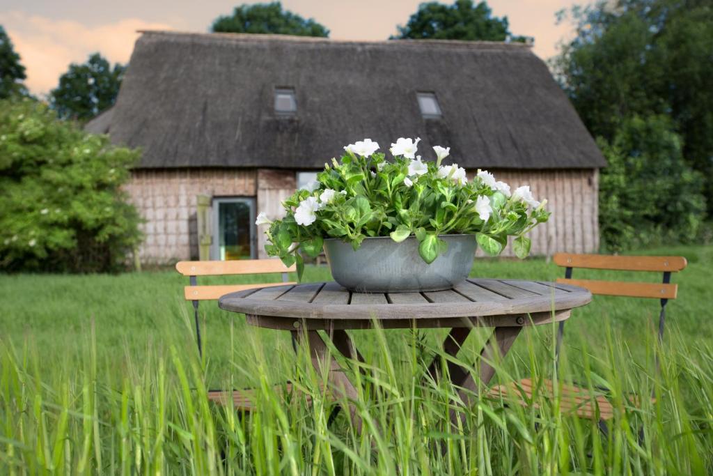 a pot of flowers on a table in front of a house at Wilmsboo in Nieuw-Schoonebeek