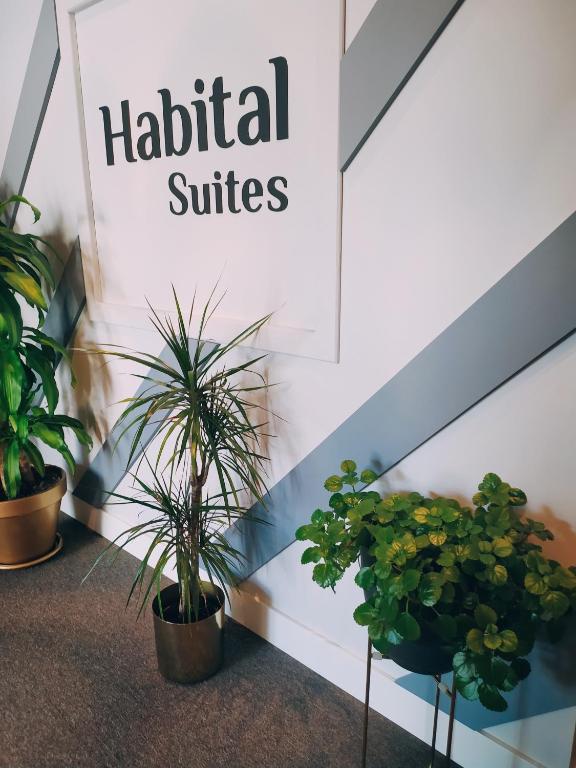 Fotografie z fotogalerie ubytování Habital Suites v destinaci Jaca